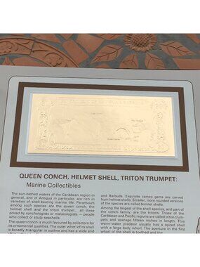 Gold Bank Notes Of Antigua And Barbuda 23 K Gold 30 Dollars Queen Conch  Shell